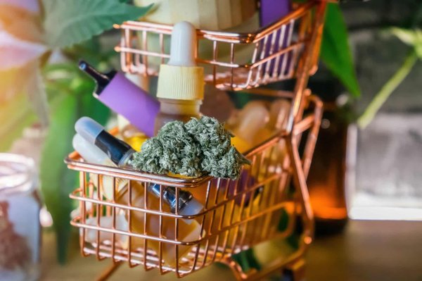 Les produits à base de plantes médicinales vendus en ligne sont-ils couverts par une garantie ?